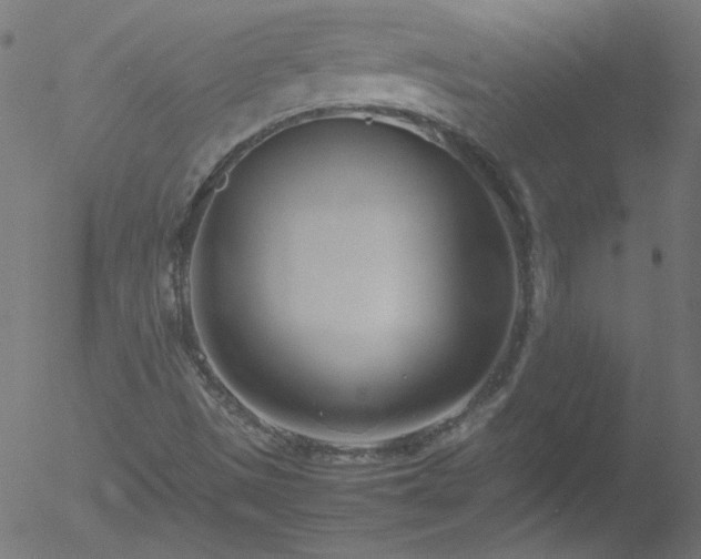 X0000052551497200507011117