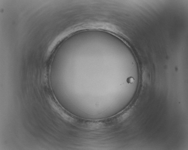 X0000052551498200507011117