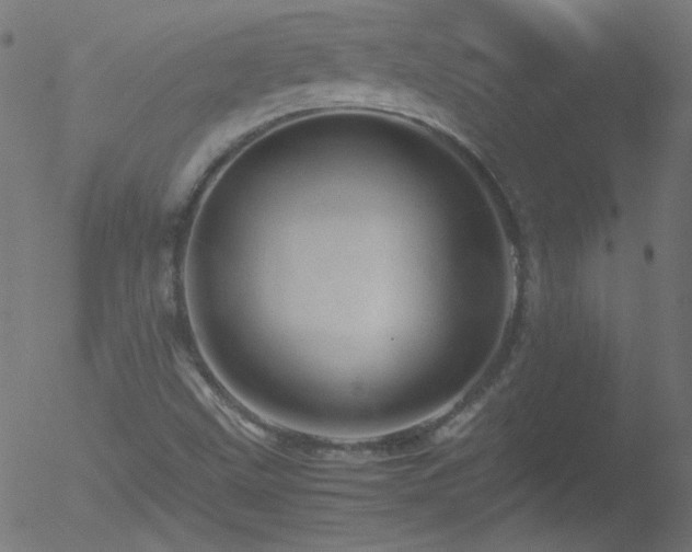 X0000052551499200507011117