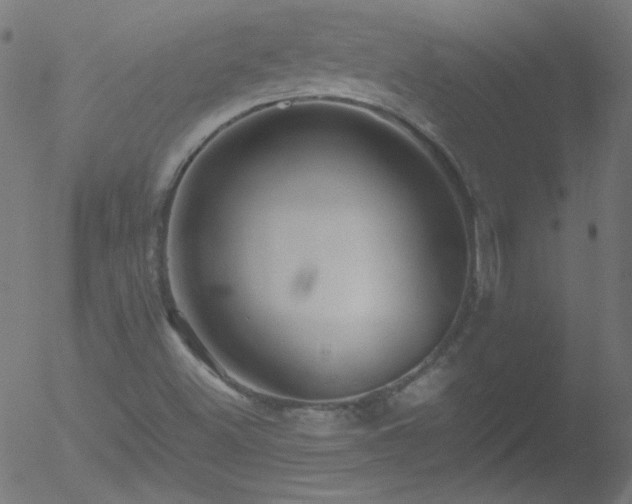 X0000052551500200507011117