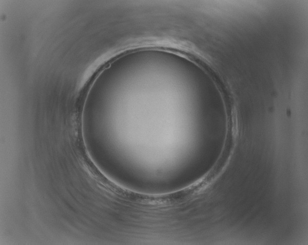 X0000052551501200507011117