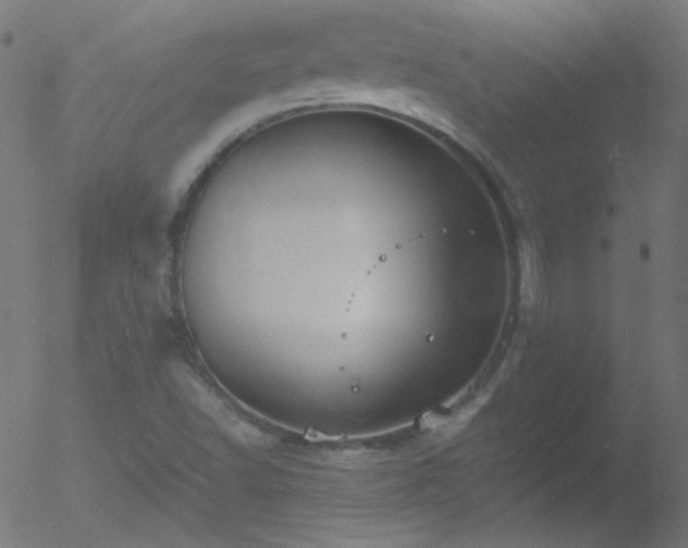 X0000052551502200507011117