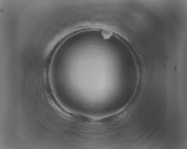 X0000052551503200507011117