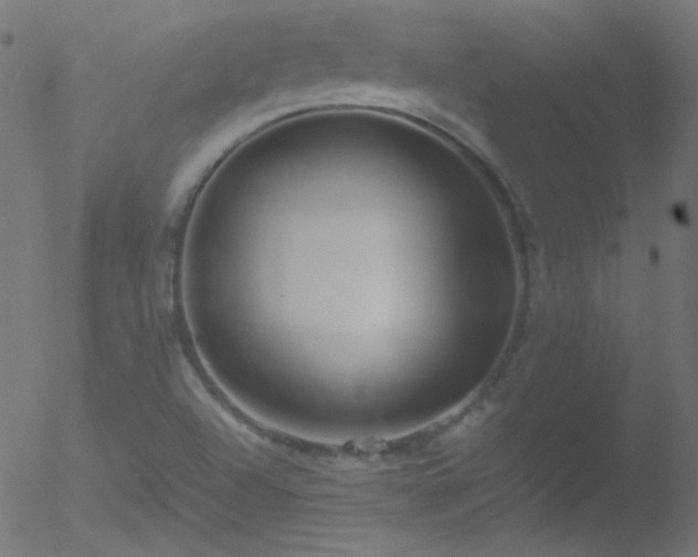 X0000052551504200507011117