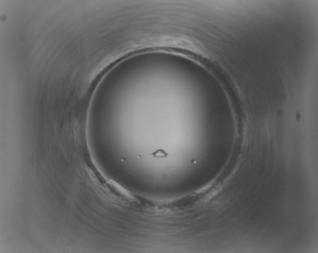 X0000052551505200507011117