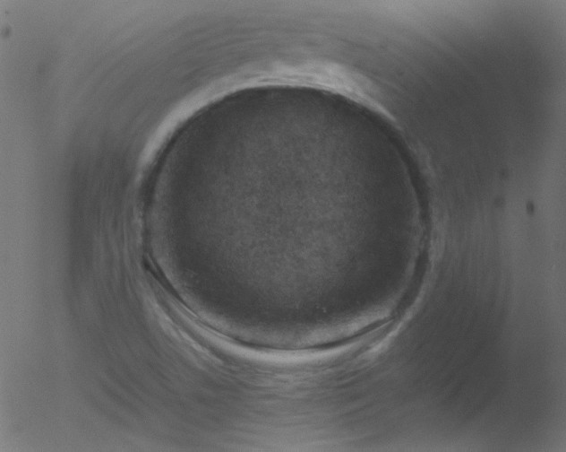 X0000052551506200507011117