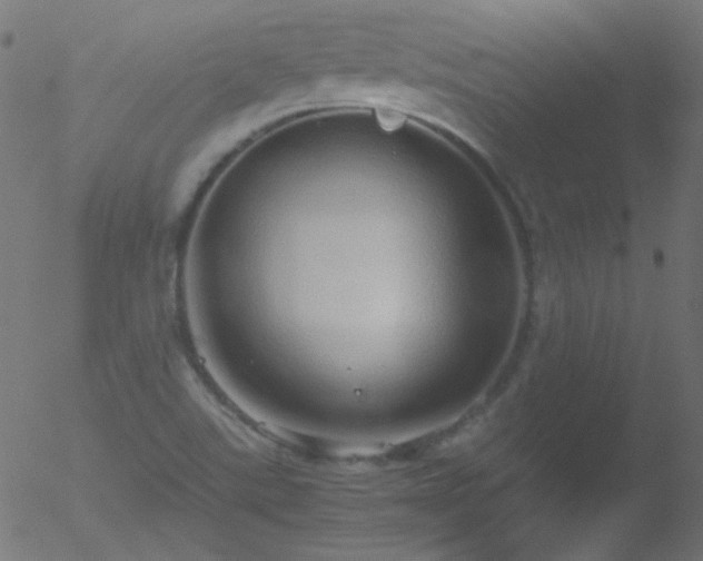 X0000052551507200507011117