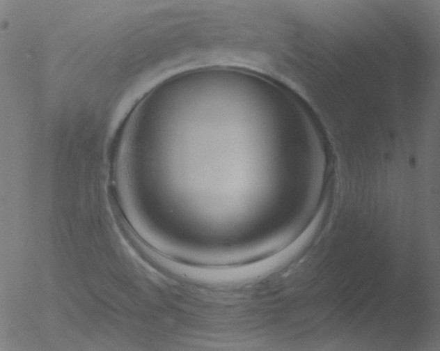 X0000052551508200507011117