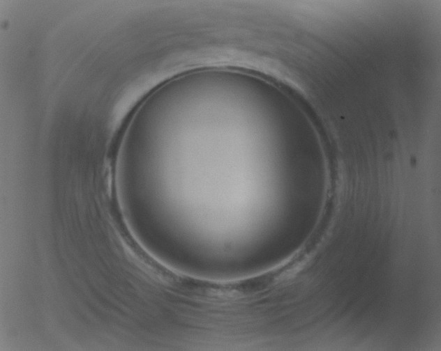 X0000052551509200507011117