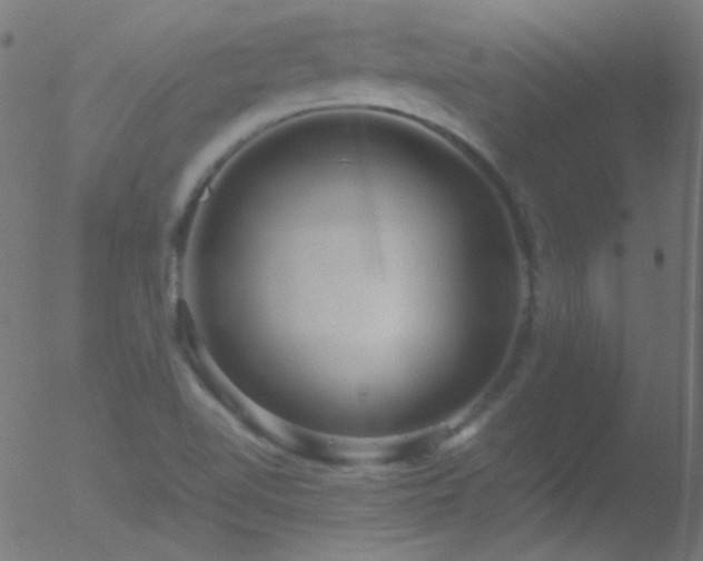 X0000052551510200507011117