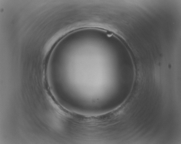 X0000052551511200507011117