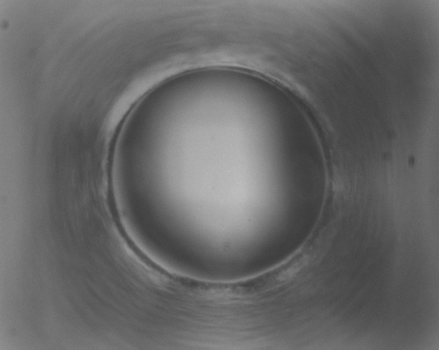 X0000052551512200507011117