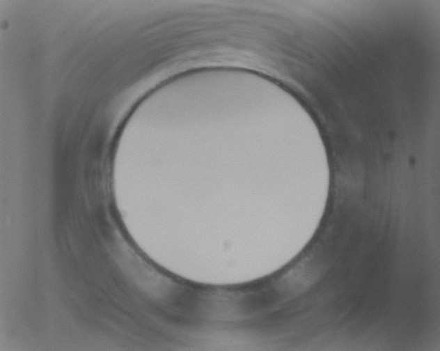 X0000052551514200507011117