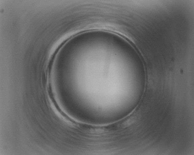 X0000052551515200507011117