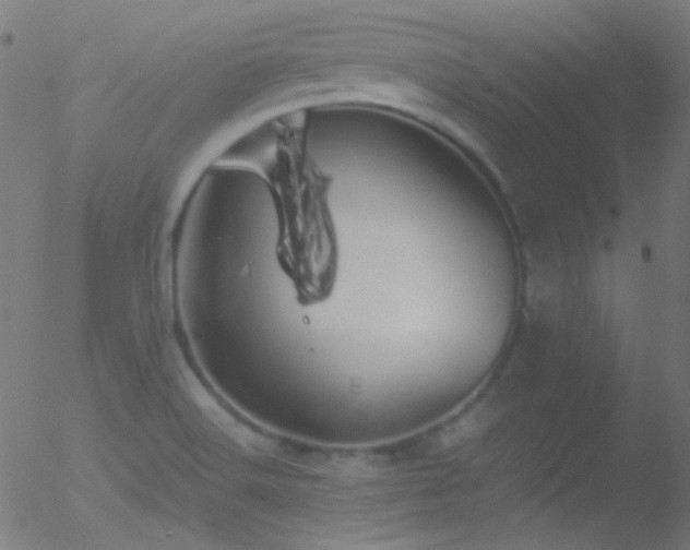 X0000052551516200507011117