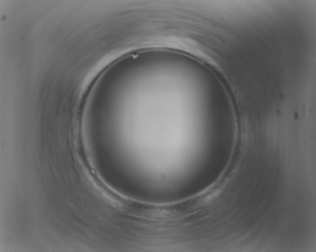 X0000052551517200507011117