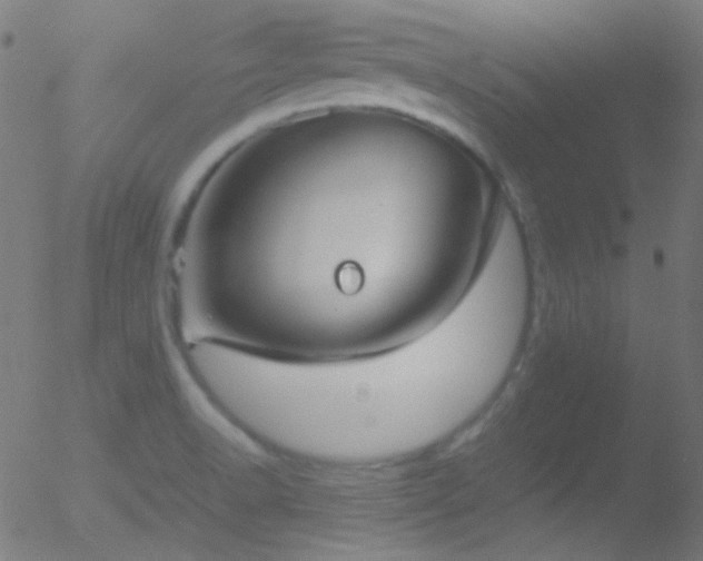 X0000052551518200507011117