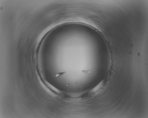 X0000052551519200507011117