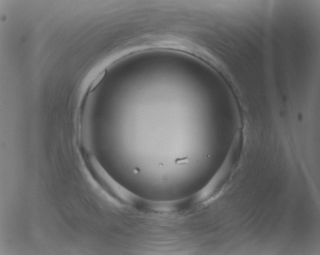 X0000052551520200507011117