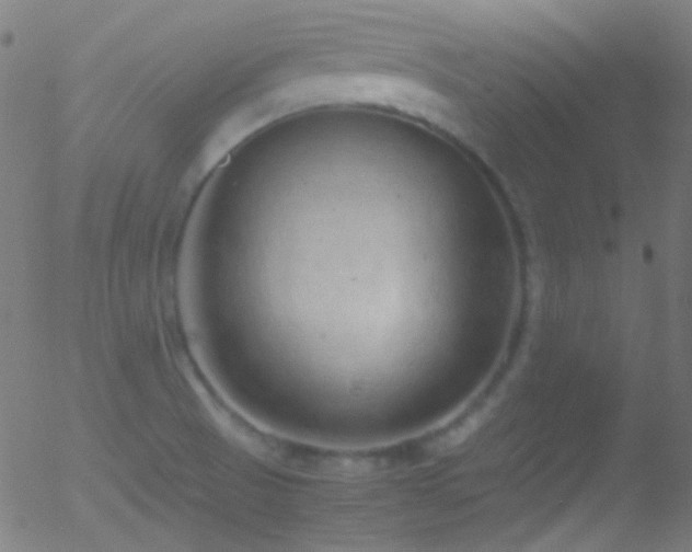 X0000052551521200507011117