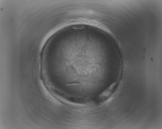 X0000052551522200507011117