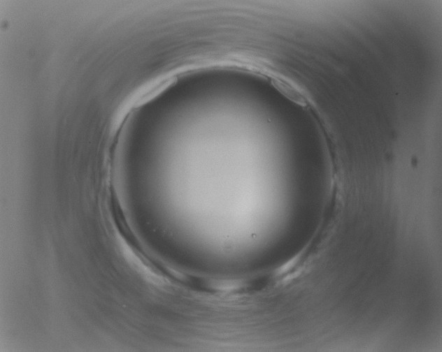 X0000052551524200507011117