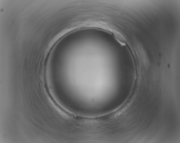 X0000052551525200507011117