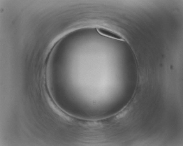 X0000052551526200507011117