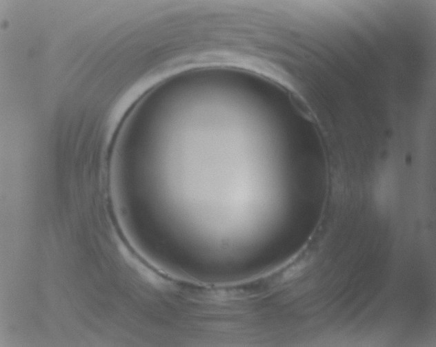 X0000052551527200507011117