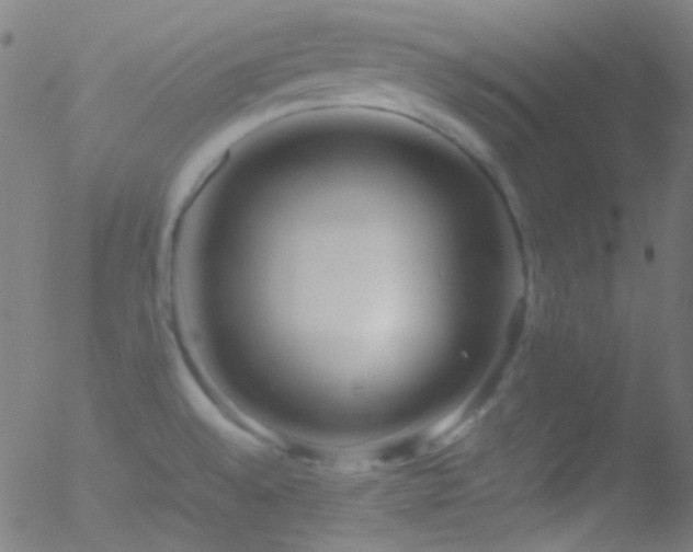 X0000052551528200507011117