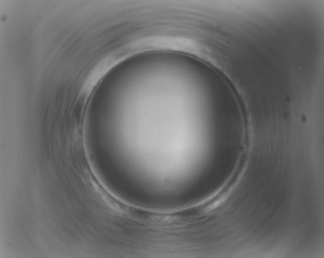 X0000052551529200507011117