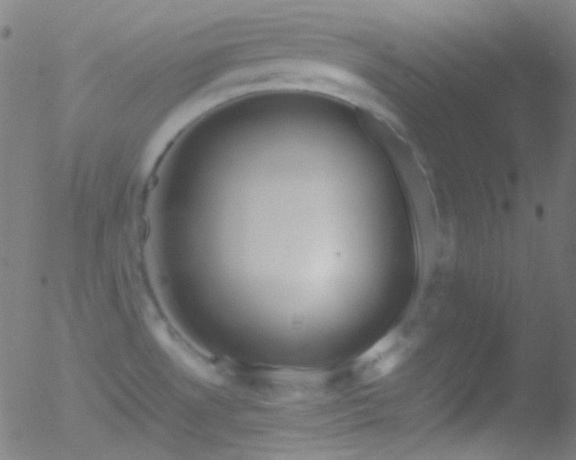 X0000052551530200507011118