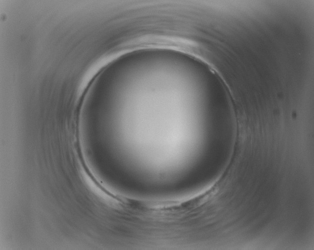 X0000052551531200507011118