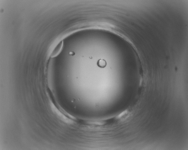 X0000052551532200507011118