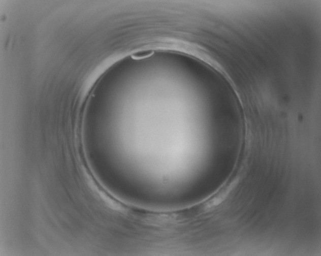 X0000052551533200507011118