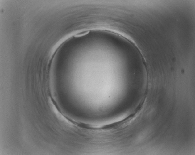 X0000052551534200507011118