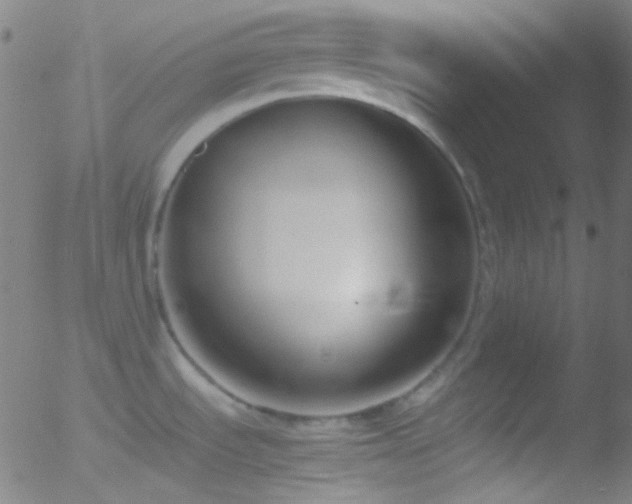 X0000052551535200507011118