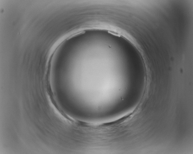 X0000052551536200507011118