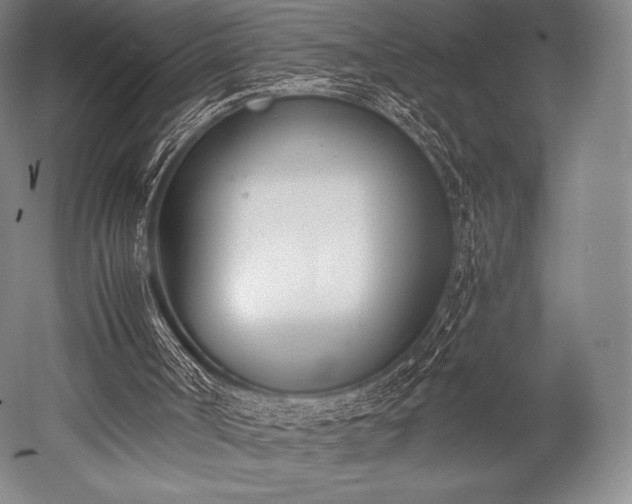 X0000052550002200507081621