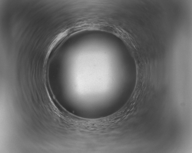 X0000052550003200507081621