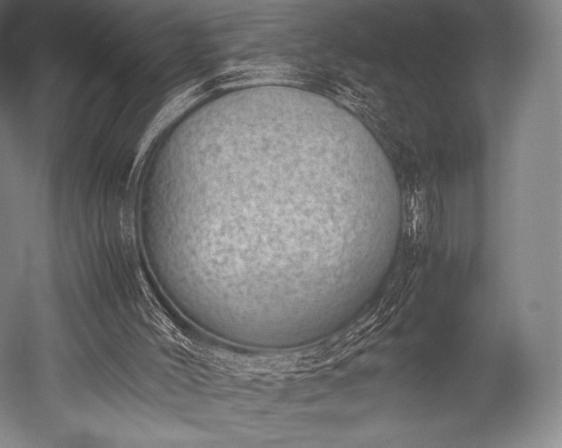 X0000052550004200507081621