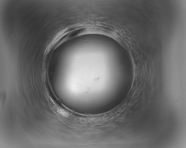 X0000052550005200507081621