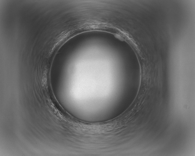 X0000052550010200507081621