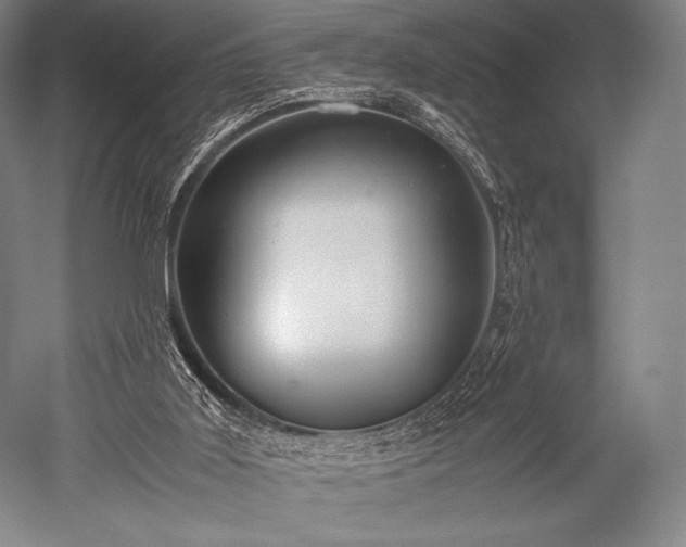 X0000052550011200507081621