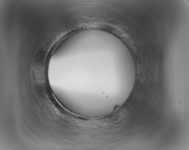 X0000052550012200507081621