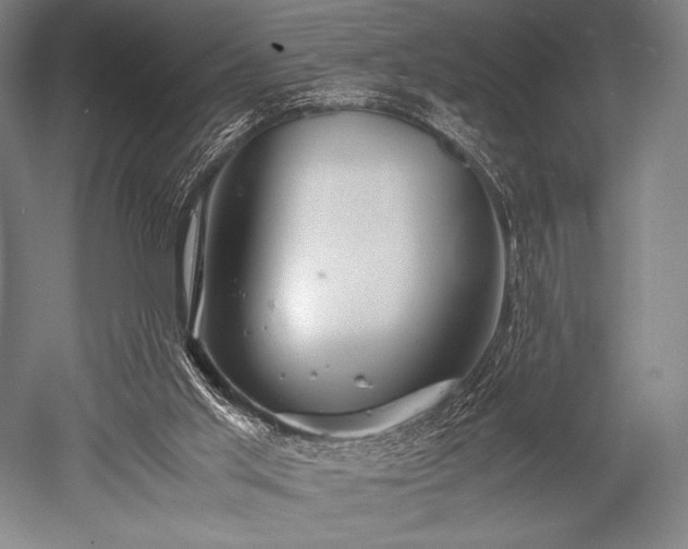 X0000052550013200507081621