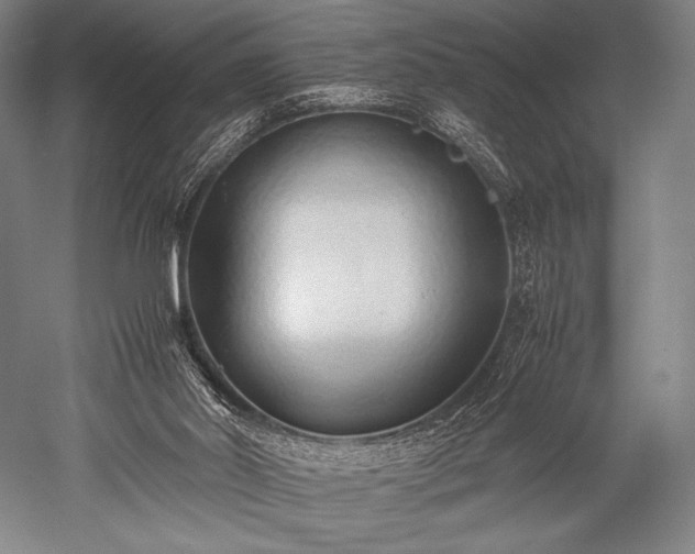 X0000052550014200507081621