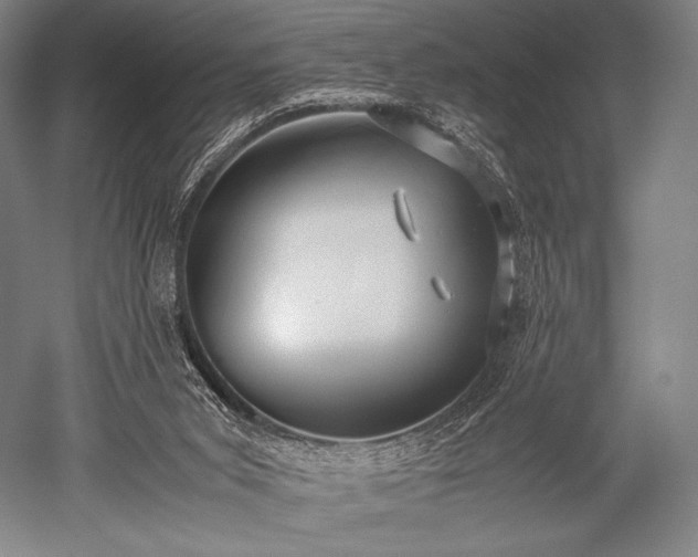 X0000052550015200507081621