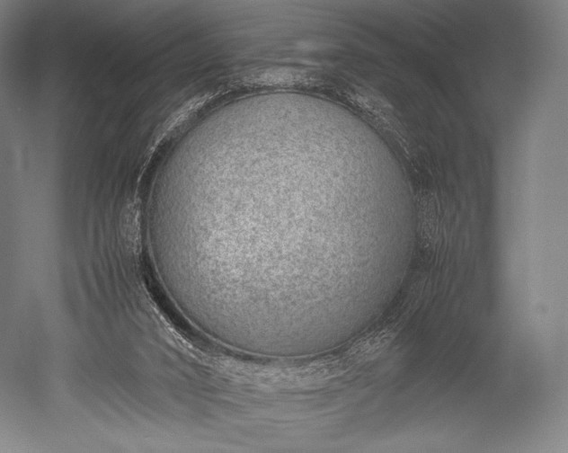 X0000052550016200507081621