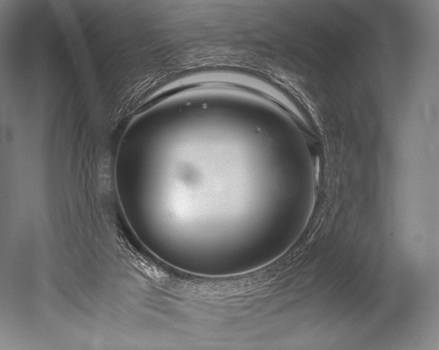 X0000052550017200507081621